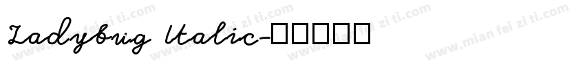 Ladybug Italic字体转换